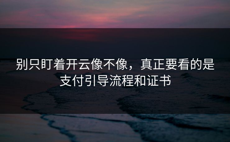 别只盯着开云像不像,真正要看的是支付引导流程和证书 别只盯着开云像不像,真正要看的是支付引导流程和证书
