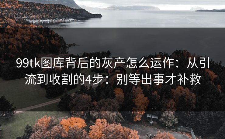 99tk图库背后的灰产怎么运作：从引流到收割的4步：别等出事才补救